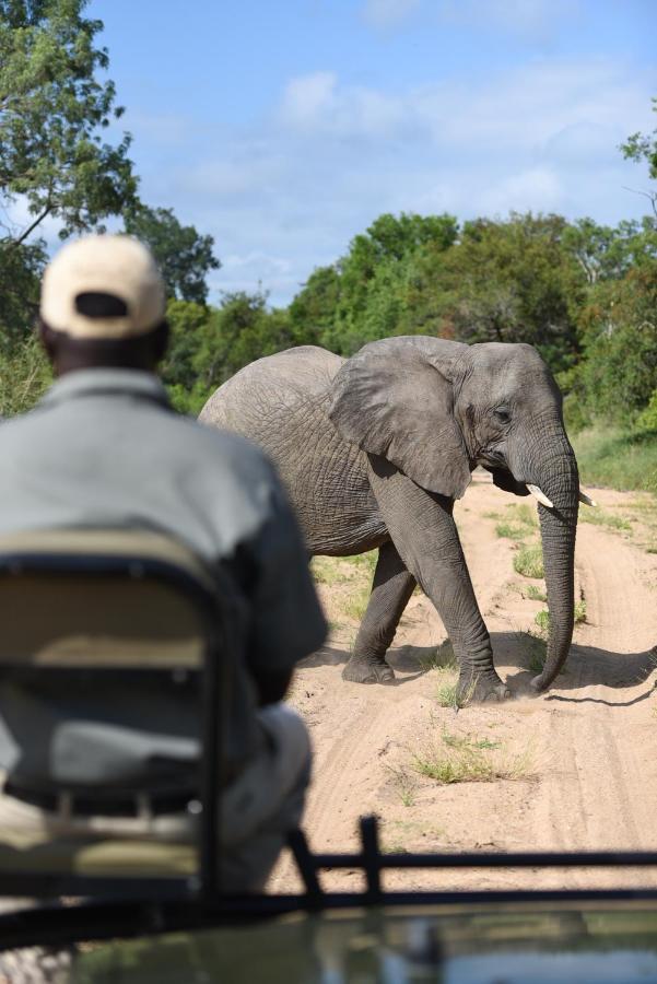 Shumbalala Game Lodge Thornybush Wildreservaat Buitenkant foto