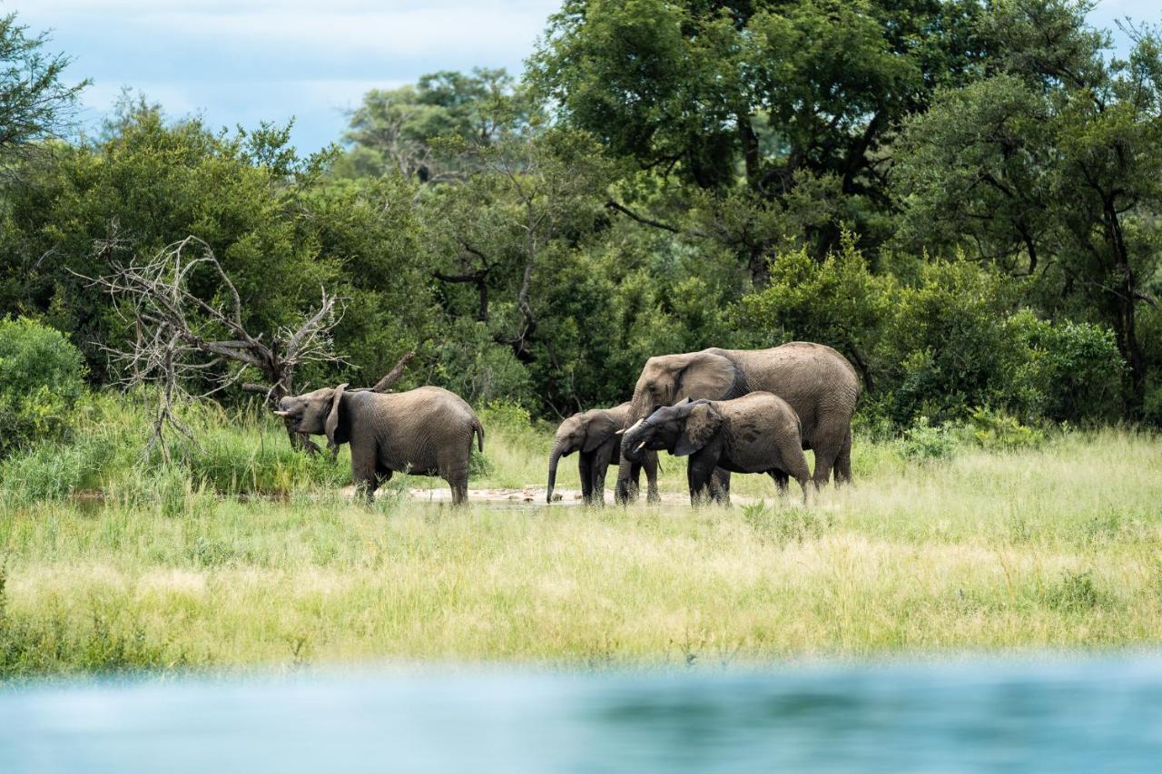 Shumbalala Game Lodge Thornybush Wildreservaat Buitenkant foto