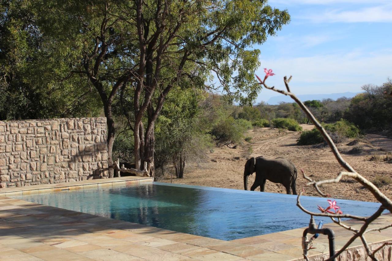 Shumbalala Game Lodge Thornybush Wildreservaat Buitenkant foto